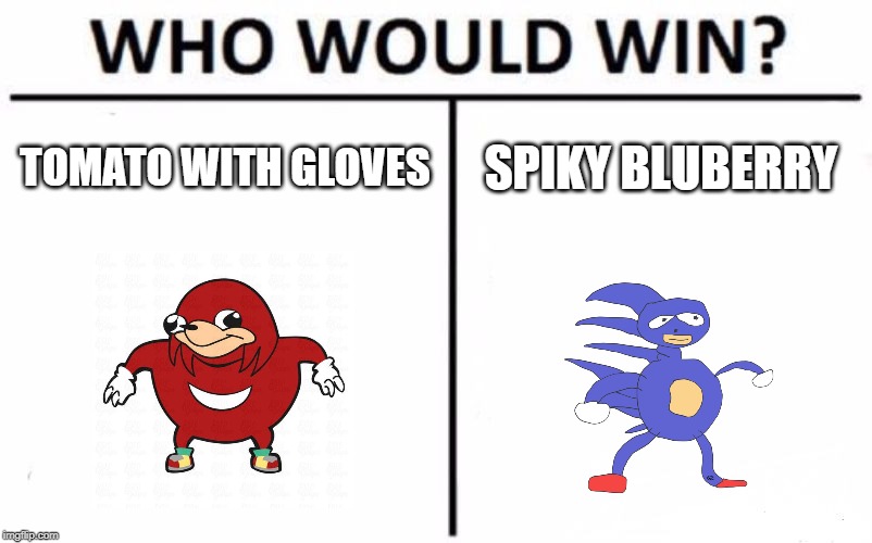 Who Would Win? | TOMATO WITH GLOVES; SPIKY BLUBERRY | image tagged in memes,who would win | made w/ Imgflip meme maker