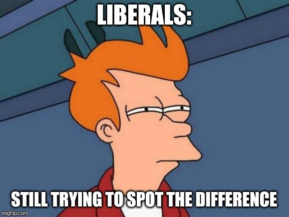 Futurama Fry Meme | LIBERALS: STILL TRYING TO SPOT THE DIFFERENCE | image tagged in memes,futurama fry | made w/ Imgflip meme maker