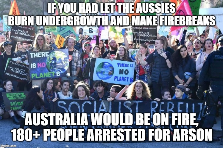Climate Protesters | IF YOU HAD LET THE AUSSIES BURN UNDERGROWTH AND MAKE FIREBREAKS; AUSTRALIA WOULD BE ON FIRE, 180+ PEOPLE ARRESTED FOR ARSON | image tagged in climate protesters | made w/ Imgflip meme maker