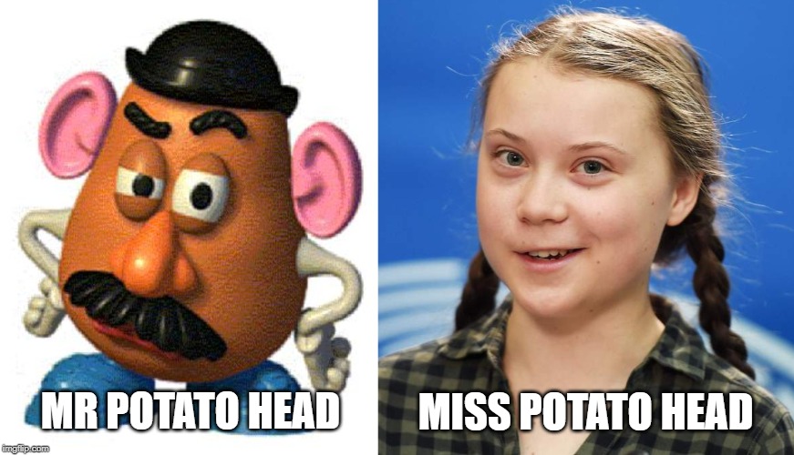 MISS POTATO HEAD; MR POTATO HEAD | image tagged in mr potato head,greta thunberg | made w/ Imgflip meme maker