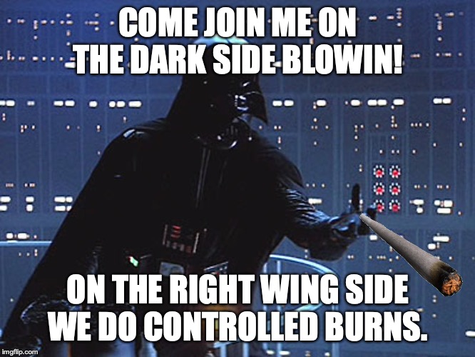 Darth Vader - Come to the Dark Side | COME JOIN ME ON THE DARK SIDE BLOWIN! ON THE RIGHT WING SIDE WE DO CONTROLLED BURNS. | image tagged in darth vader - come to the dark side | made w/ Imgflip meme maker