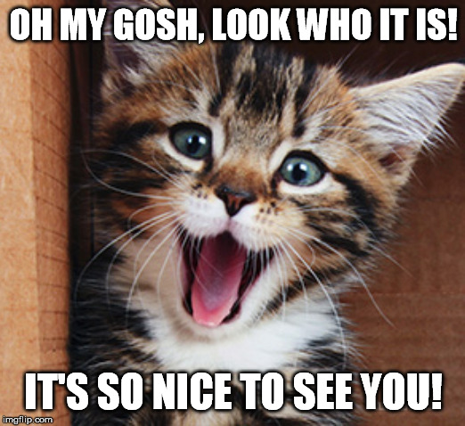 OH MY GOSH, LOOK WHO IT IS! IT'S SO NICE TO SEE YOU! | made w/ Imgflip meme maker