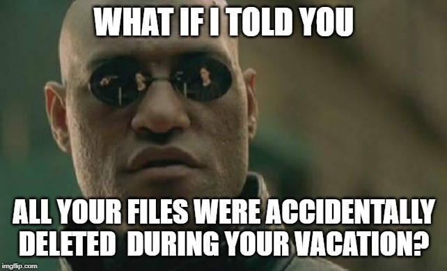 We accidentally deleted all your files | WHAT IF I TOLD YOU; ALL YOUR FILES WERE ACCIDENTALLY DELETED  DURING YOUR VACATION? | image tagged in memes,matrix morpheus | made w/ Imgflip meme maker