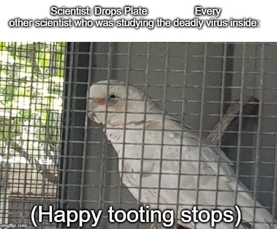 Scientist: Drops Plate                 Every other scientist who was studying the deadly virus inside:; (Happy tooting stops) | image tagged in memes,evil toddler | made w/ Imgflip meme maker