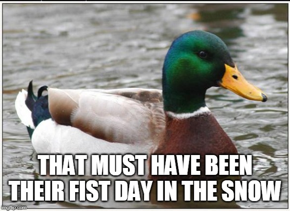 Actual Advice Mallard Meme | THAT MUST HAVE BEEN THEIR FIST DAY IN THE SNOW | image tagged in memes,actual advice mallard | made w/ Imgflip meme maker