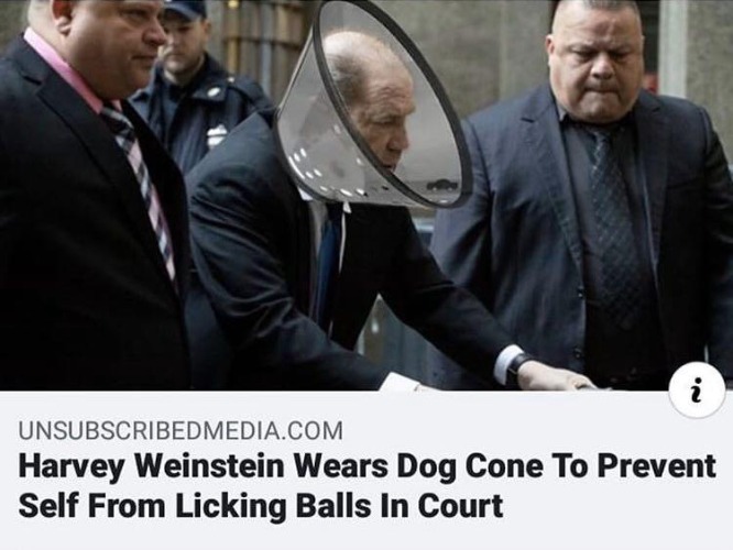 Harvey Weinstein is a good dog's name | image tagged in harvey weinstein bill clinton,pervert,sexual narcissism,sexual narcissist,sexual predator,bill clinton - sexual relations | made w/ Imgflip meme maker