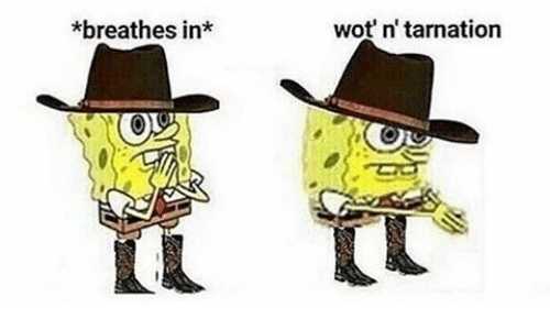 Cowboy Spongebob Blank Meme Template