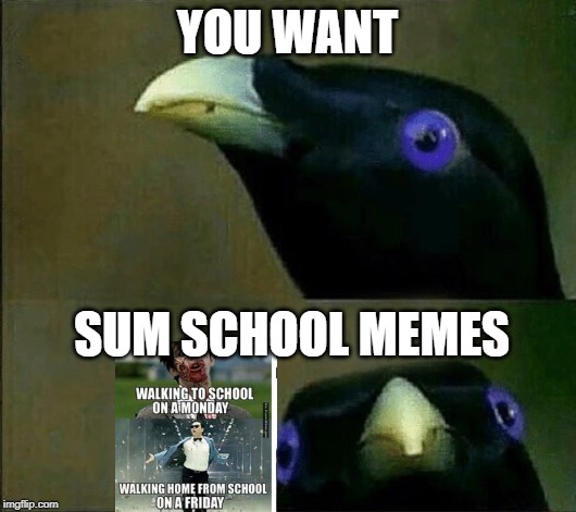 you want sum fuk | YOU WANT; SUM SCHOOL MEMES | image tagged in you want sum fuk | made w/ Imgflip meme maker