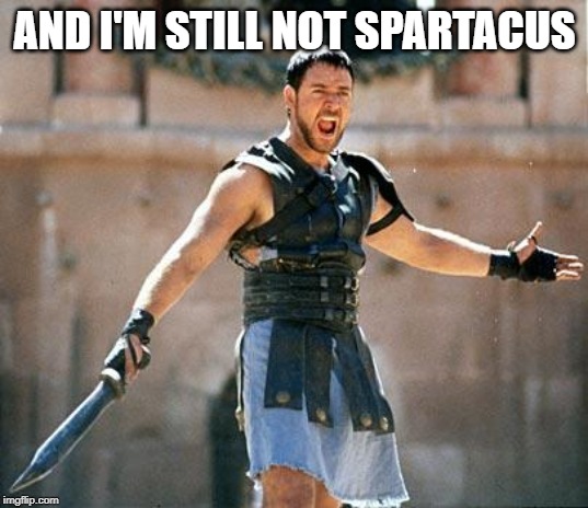 Gladiator  | AND I'M STILL NOT SPARTACUS | image tagged in gladiator | made w/ Imgflip meme maker