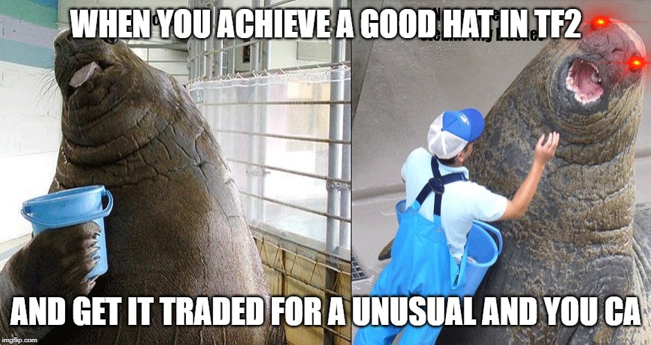 I Has A Bucket | WHEN YOU ACHIEVE A GOOD HAT IN TF2; AND GET IT TRADED FOR A UNUSUAL AND YOU CA | image tagged in i has a bucket | made w/ Imgflip meme maker