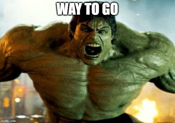 hulk | WAY TO GO | image tagged in hulk | made w/ Imgflip meme maker