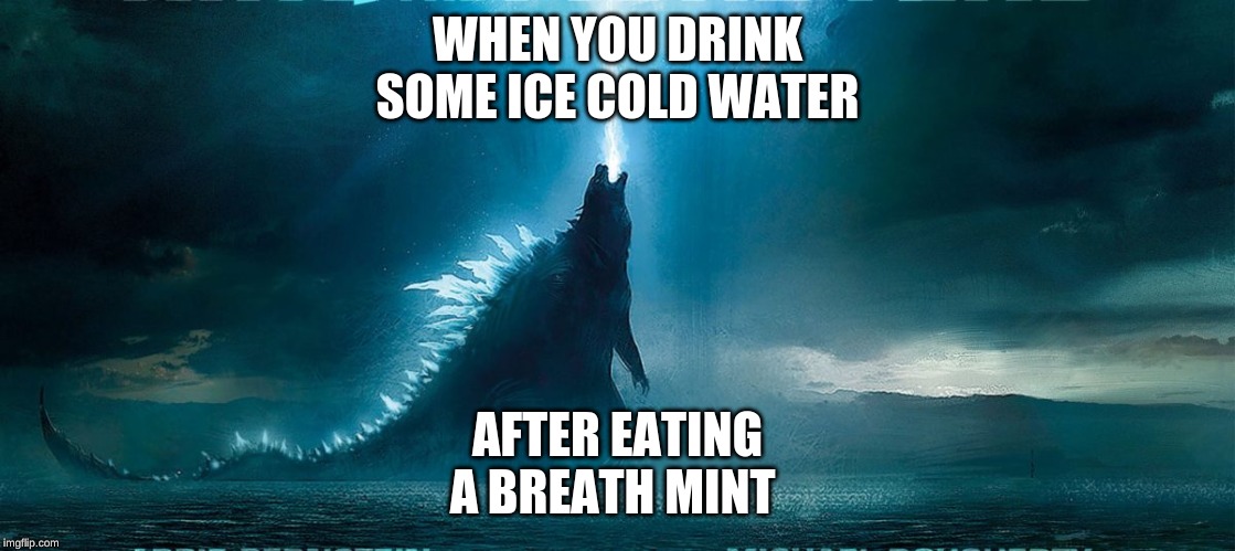 WHEN YOU DRINK SOME ICE COLD WATER; AFTER EATING A BREATH MINT | made w/ Imgflip meme maker