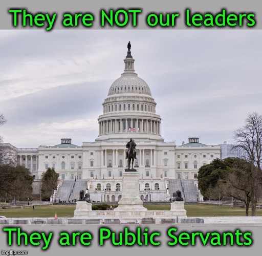Some of them need to get over themselves | They are NOT our leaders; They are Public Servants | image tagged in we are a republic,they serve us,term limits,trump 2020 | made w/ Imgflip meme maker