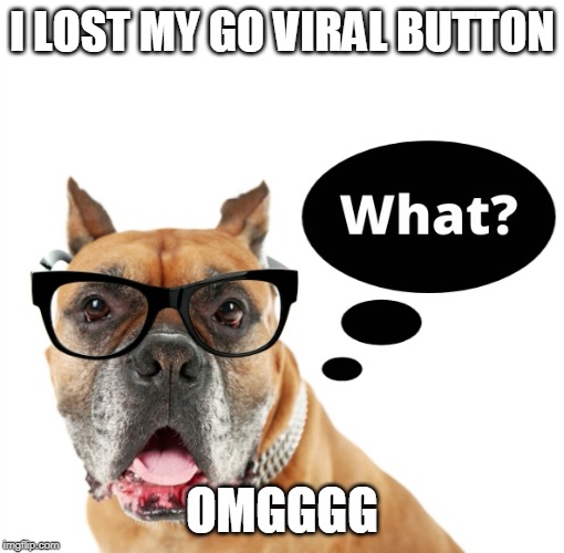 I lost my "Go Viral" button | I LOST MY GO VIRAL BUTTON; OMGGGG | image tagged in i lost my go viral button | made w/ Imgflip meme maker