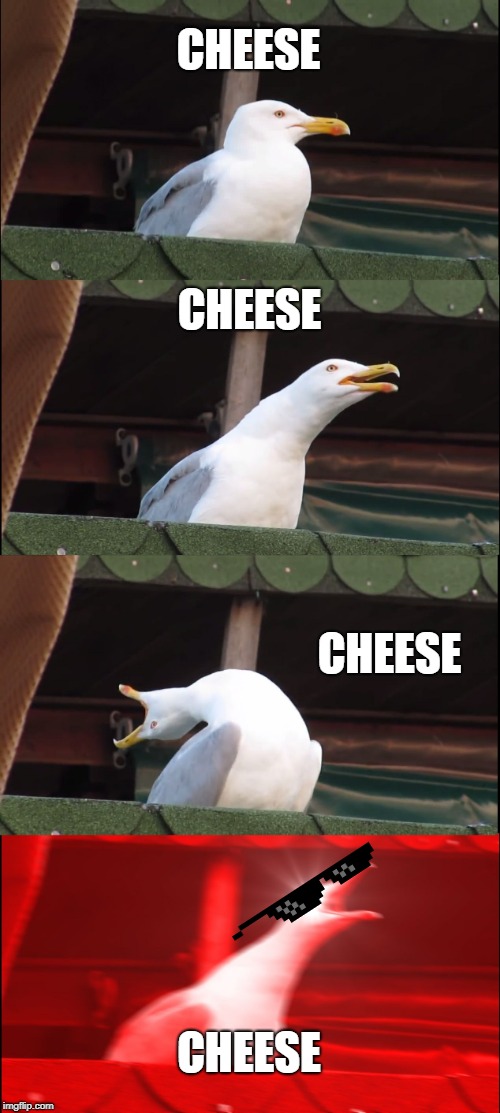 Inhaling Seagull Meme | CHEESE; CHEESE; CHEESE; CHEESE | image tagged in memes,inhaling seagull | made w/ Imgflip meme maker