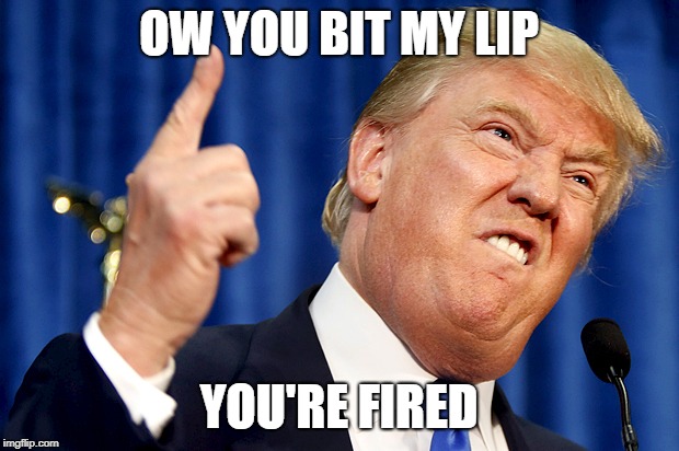 Donald Trump | OW YOU BIT MY LIP; YOU'RE FIRED | image tagged in donald trump | made w/ Imgflip meme maker