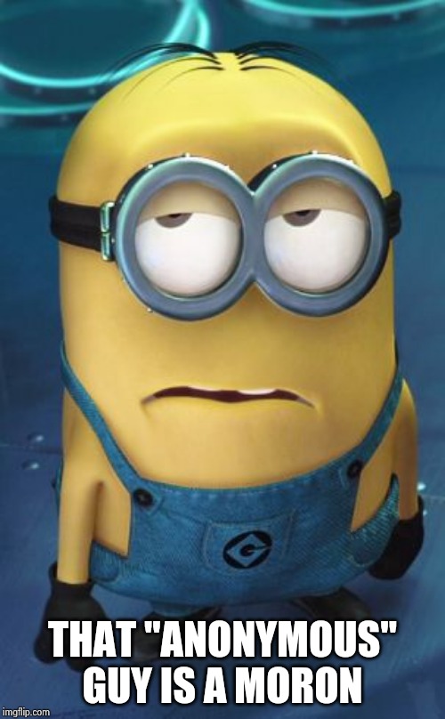 Minion Eye Roll | THAT "ANONYMOUS" GUY IS A MORON | image tagged in minion eye roll | made w/ Imgflip meme maker