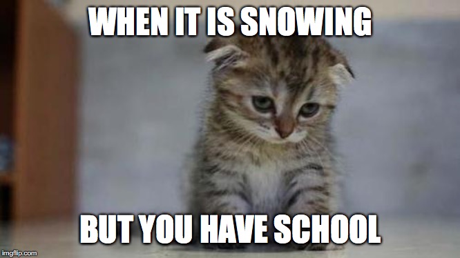 Sad kitten | WHEN IT IS SNOWING; BUT YOU HAVE SCHOOL | image tagged in sad kitten | made w/ Imgflip meme maker