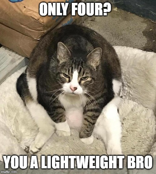 not enough food | ONLY FOUR? YOU A LIGHTWEIGHT BRO | image tagged in not enough food | made w/ Imgflip meme maker