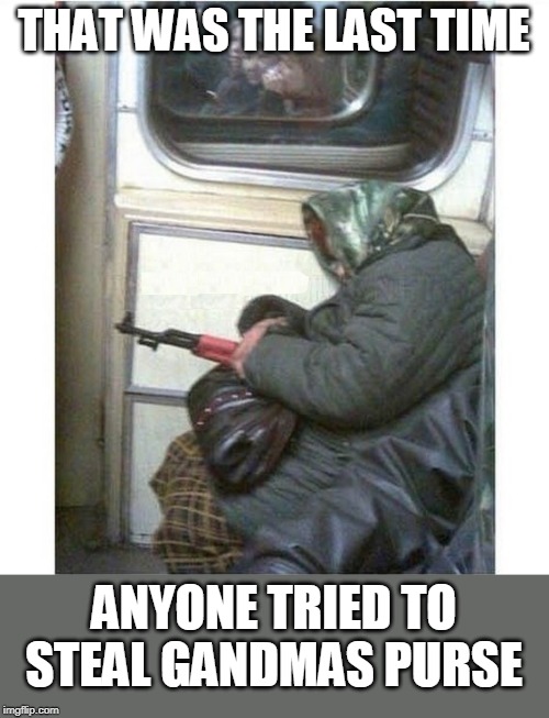 SHE'S NOT MESSING AROUND | THAT WAS THE LAST TIME; ANYONE TRIED TO STEAL GANDMAS PURSE | image tagged in old lady,gun,subway | made w/ Imgflip meme maker