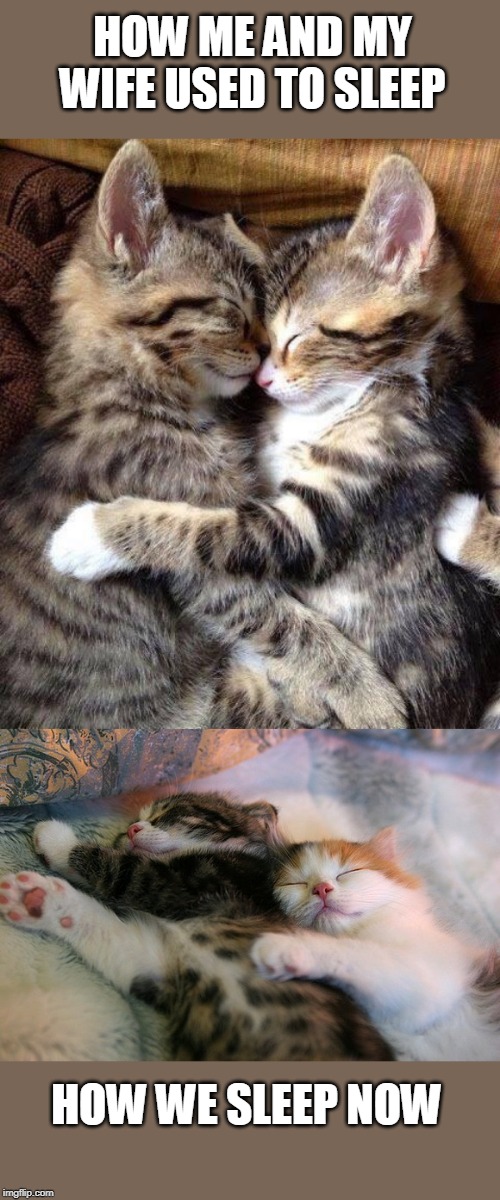 HOW ME AND MY WIFE USED TO SLEEP; HOW WE SLEEP NOW | image tagged in memes,cats,kittens,cute cat | made w/ Imgflip meme maker