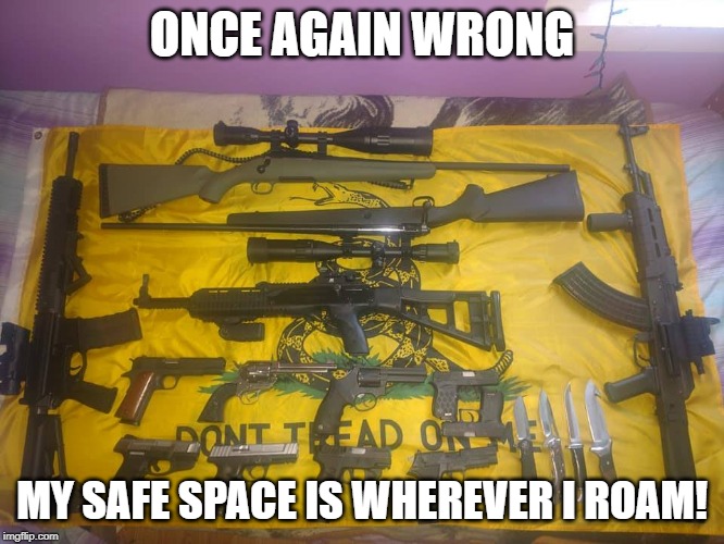 ONCE AGAIN WRONG MY SAFE SPACE IS WHEREVER I ROAM! | made w/ Imgflip meme maker