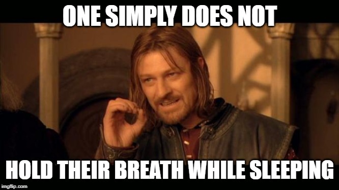 Sean Bean Lord Of The Rings | ONE SIMPLY DOES NOT; HOLD THEIR BREATH WHILE SLEEPING | image tagged in sean bean lord of the rings | made w/ Imgflip meme maker