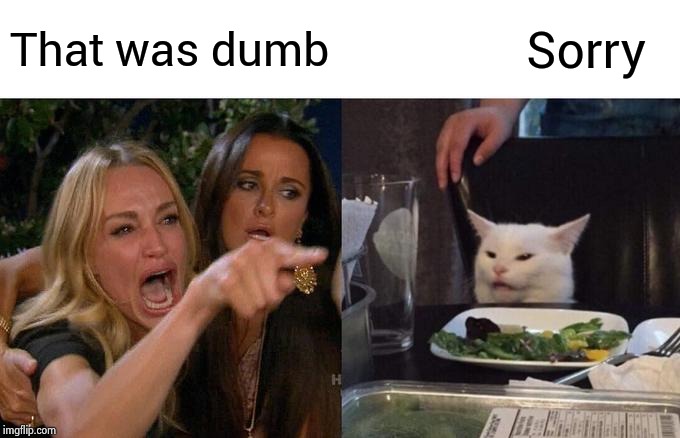 Woman Yelling At Cat Meme | That was dumb Sorry | image tagged in memes,woman yelling at cat | made w/ Imgflip meme maker