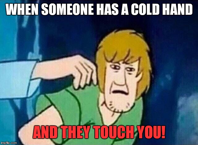 Scooby Doo Shaggy  | WHEN SOMEONE HAS A COLD HAND; AND THEY TOUCH YOU! | image tagged in scooby doo shaggy | made w/ Imgflip meme maker