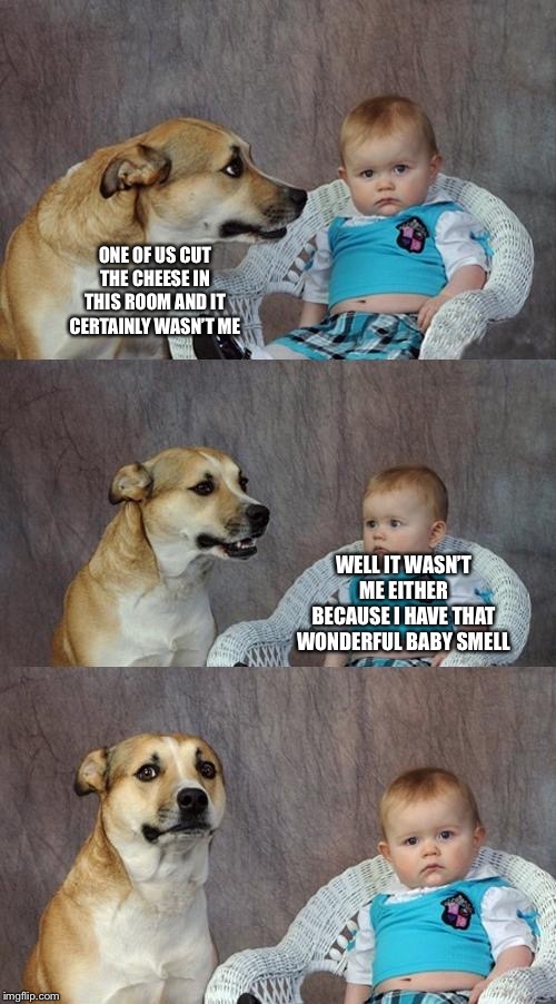 Dad Joke Dog Meme | ONE OF US CUT THE CHEESE IN THIS ROOM AND IT CERTAINLY WASN’T ME; WELL IT WASN’T ME EITHER BECAUSE I HAVE THAT WONDERFUL BABY SMELL | image tagged in memes,dad joke dog | made w/ Imgflip meme maker