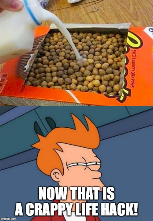 d., | NOW THAT IS A CRAPPY LIFE HACK! | image tagged in memes,futurama fry,funny,life hack | made w/ Imgflip meme maker