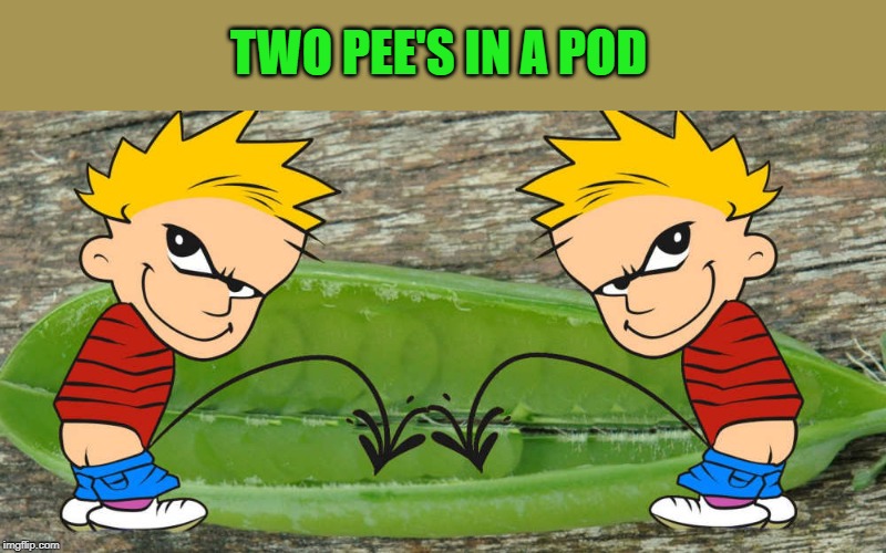 two pee's in a pod | TWO PEE'S IN A POD | image tagged in pee's,pod,kewlew | made w/ Imgflip meme maker