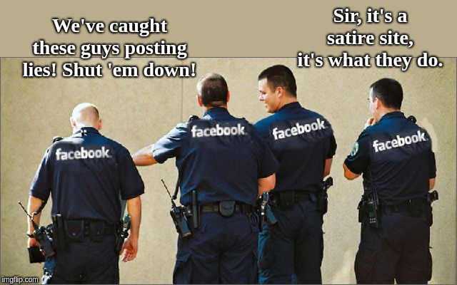 Facebook police | Sir, it's a satire site, it's what they do. We've caught these guys posting lies! Shut 'em down! | image tagged in facebook police | made w/ Imgflip meme maker
