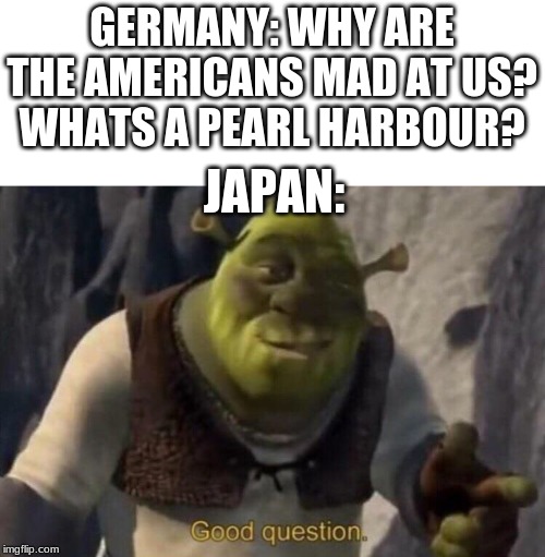 Shrek good question | GERMANY: WHY ARE THE AMERICANS MAD AT US?
WHATS A PEARL HARBOUR? JAPAN: | image tagged in shrek good question | made w/ Imgflip meme maker