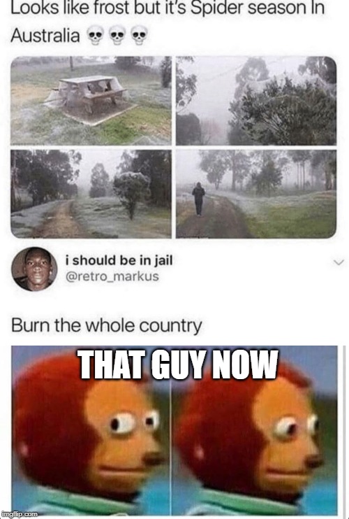 Ironic | THAT GUY NOW | image tagged in awkward muppet | made w/ Imgflip meme maker