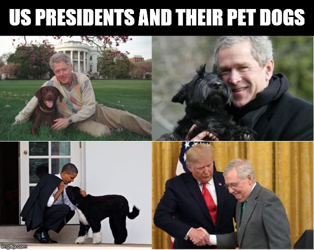 US PRESIDENTS AND THEIR PET DOGS | image tagged in president,trump,mitch mcconnell | made w/ Imgflip meme maker