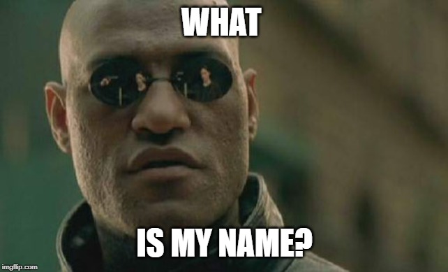 Matrix Morpheus Meme | WHAT; IS MY NAME? | image tagged in memes,matrix morpheus | made w/ Imgflip meme maker