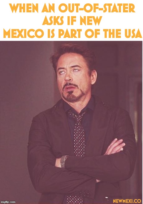 Face You Make Robert Downey Jr Meme | WHEN AN OUT-OF-STATER ASKS IF NEW MEXICO IS PART OF THE USA; NEWMEXI.CO | image tagged in memes,face you make robert downey jr | made w/ Imgflip meme maker