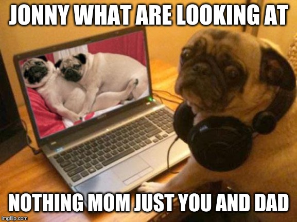 Horny Pug | JONNY WHAT ARE LOOKING AT; NOTHING MOM JUST YOU AND DAD | image tagged in horny pug | made w/ Imgflip meme maker