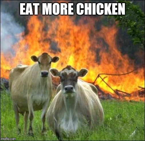Evil Cows Meme | EAT MORE CHICKEN | image tagged in memes,evil cows | made w/ Imgflip meme maker