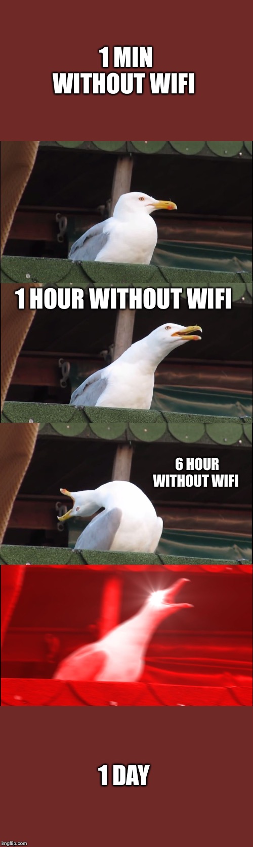 Inhaling Seagull | 1 MIN WITHOUT WIFI; 1 HOUR WITHOUT WIFI; 6 HOUR WITHOUT WIFI; 1 DAY | image tagged in memes,inhaling seagull | made w/ Imgflip meme maker