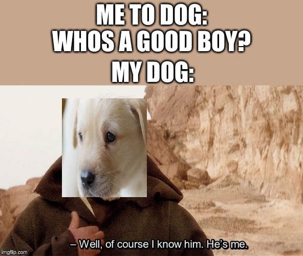 Obi Wan Of course I know him, He‘s me | ME TO DOG: WHOS A GOOD BOY? MY DOG: | image tagged in obi wan of course i know him hes me | made w/ Imgflip meme maker