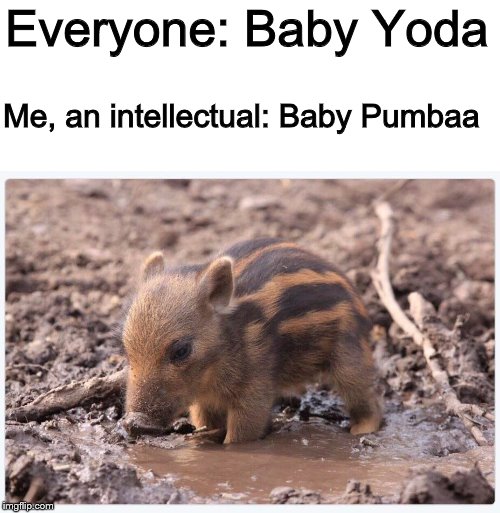 I don't care what y'all say the Lion King remake was fantastic | Everyone: Baby Yoda; Me, an intellectual: Baby Pumbaa | image tagged in the lion king,pumbaa,baby yoda | made w/ Imgflip meme maker