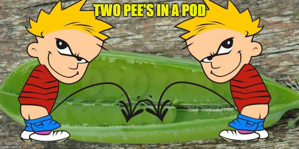 TWO PEE'S IN A POD | made w/ Imgflip meme maker