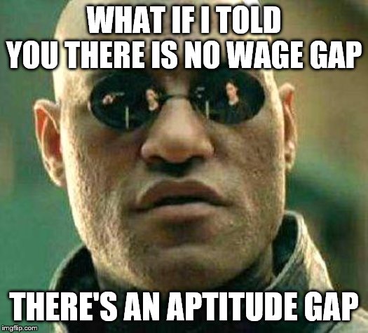What if i told you | WHAT IF I TOLD YOU THERE IS NO WAGE GAP; THERE'S AN APTITUDE GAP | image tagged in what if i told you | made w/ Imgflip meme maker