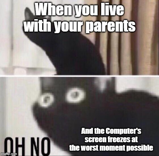 Oh no cat | When you live with your parents; And the Computer's screen freezes at the worst moment possible | image tagged in oh no cat | made w/ Imgflip meme maker