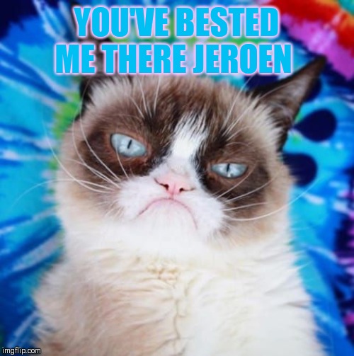 YOU'VE BESTED ME THERE JEROEN | made w/ Imgflip meme maker