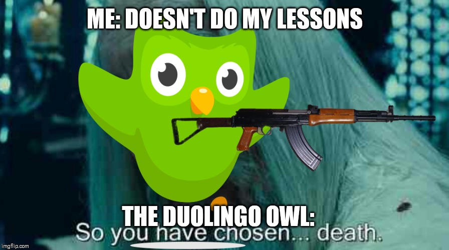 Duolingo when you don't do your lessons. | ME: DOESN'T DO MY LESSONS; THE DUOLINGO OWL: | image tagged in duolingo,memes,so you have chosen death | made w/ Imgflip meme maker