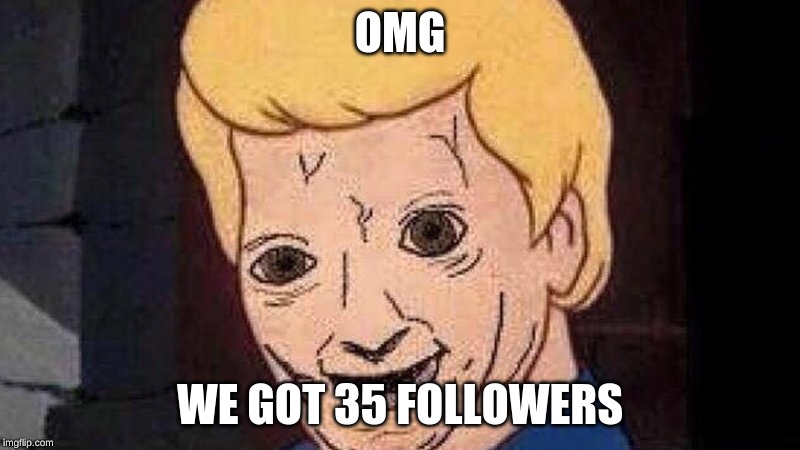 Shaggy this isn't weed | OMG; WE GOT 35 FOLLOWERS | image tagged in shaggy this isn't weed | made w/ Imgflip meme maker