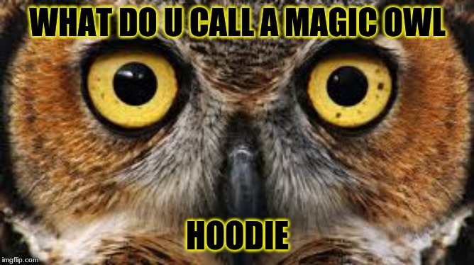 hoodie meme | WHAT DO U CALL A MAGIC OWL; HOODIE | image tagged in vanossgaming | made w/ Imgflip meme maker